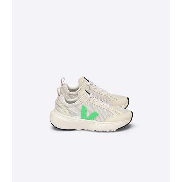 Zapatos Veja CANARY ELASTIC LACE Niños Beige/Green | España 767MQZ